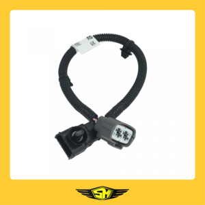 ��ǰ ������